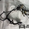 Автозапчасти NISSAN/INFINITI. Электропроводка двери INFINITI QX70 S51 VQ37VHR