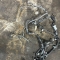 Автозапчасти NISSAN/INFINITI. Электропроводка INFINITI FX35 S50 VQ35DE 5 000 рублей