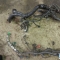 Автозапчасти NISSAN/INFINITI. Электропроводка NISSAN March AK12 CR12DE 2 000 рублей