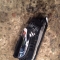 Автозапчасти NISSAN/INFINITI. Ручка внутренняя PEUGEOT 307 VF33 RFN 400 рублей