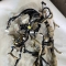Автозапчасти NISSAN/INFINITI. Электропроводка панели INFINITI QX70 S51 VQ37VHR