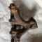 Автозапчасти NISSAN/INFINITI. Коллектор выпускной SUBARU Traviq XM220 Z22SE