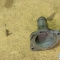ОриентирАвто. Корпус термостата HONDA D17A
