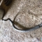 Автозапчасти NISSAN/INFINITI. Шланг кондиционера HONDA Fit GD1 L13A 200 рублей
