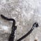 Автозапчасти NISSAN/INFINITI. Шланг HYUNDAI Getz TB13 G4EA 800 рублей