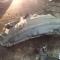 Автозапчасти NISSAN/INFINITI. Подкрылок NISSAN Skyline PV35 VQ35DE 500 рублей