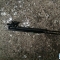 Автозапчасти NISSAN/INFINITI. Амортизатор 5-й двери NISSAN Presage TU31 QR25DE 1 000 рублей