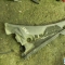 Автозапчасти NISSAN/INFINITI. Жабо NISSAN Sunny FB15 QG15DE 300 рублей