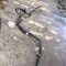 Автозапчасти NISSAN/INFINITI. Трубки АКПП INFINITI FX37 S51 VQ37VHR 1 200 рублей