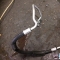 Автозапчасти NISSAN/INFINITI. Шланг кондиционера TOYOTA Avensis AZT250 1AZ-FSE 500 рублей